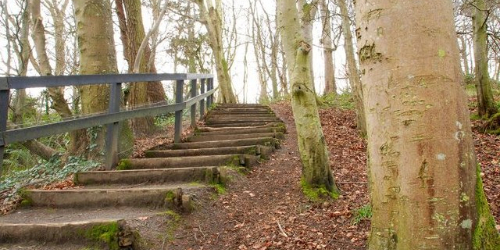 Carnfunnock Country Park