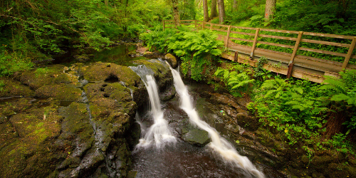Glenariff Forest Park waterfall